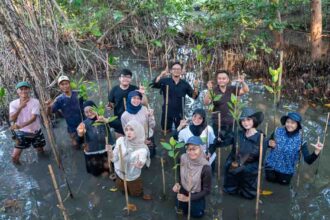 Dokumentasi aksi penanaman 100 bibit mangrove di Ekowisata Mangrove PIK. (Foto: Istimewa)