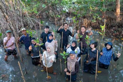 Dokumentasi aksi penanaman 100 bibit mangrove di Ekowisata Mangrove PIK. (Foto: Istimewa)