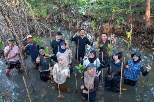 Dokumentasi aksi penanaman 100 bibit mangrove di Ekowisata Mangrove PIK. (Foto: Istimewa)
